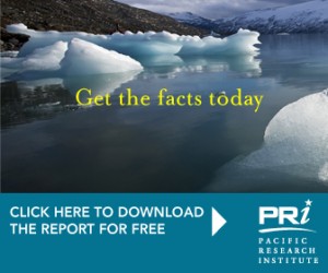 PRI '2008 Index of Leading Environmental Indicators' Ad