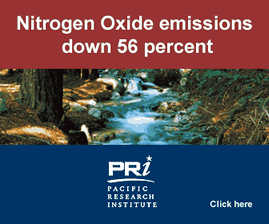 PRI '2004 Index of Leading Environmental Indicators' Ad - Mother Jones